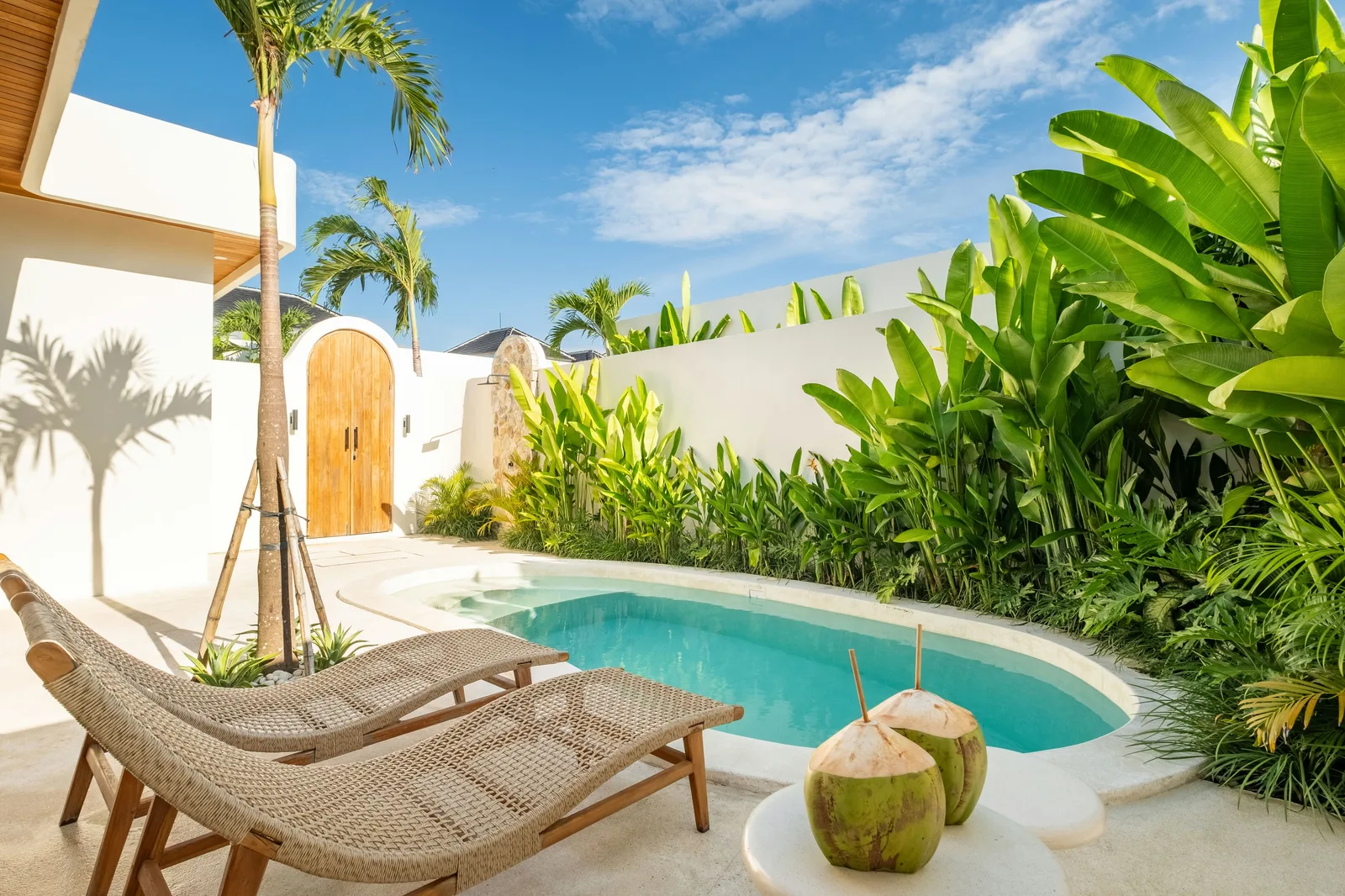Una pequeña piscina al aire libre está junto a asientos de descanso y vegetación tropical.