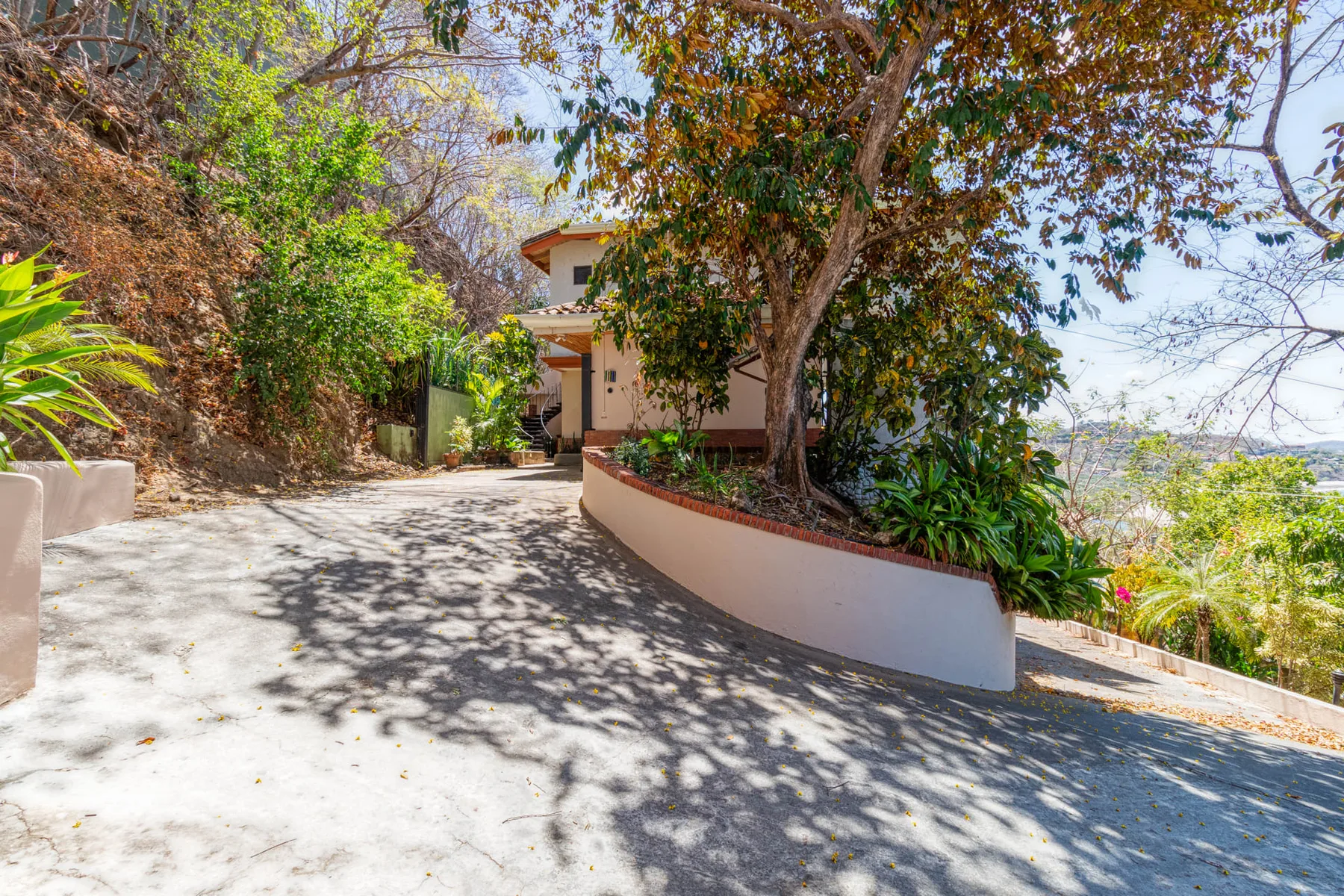 A paved driveway curves past landscaped garden beds toward a house.