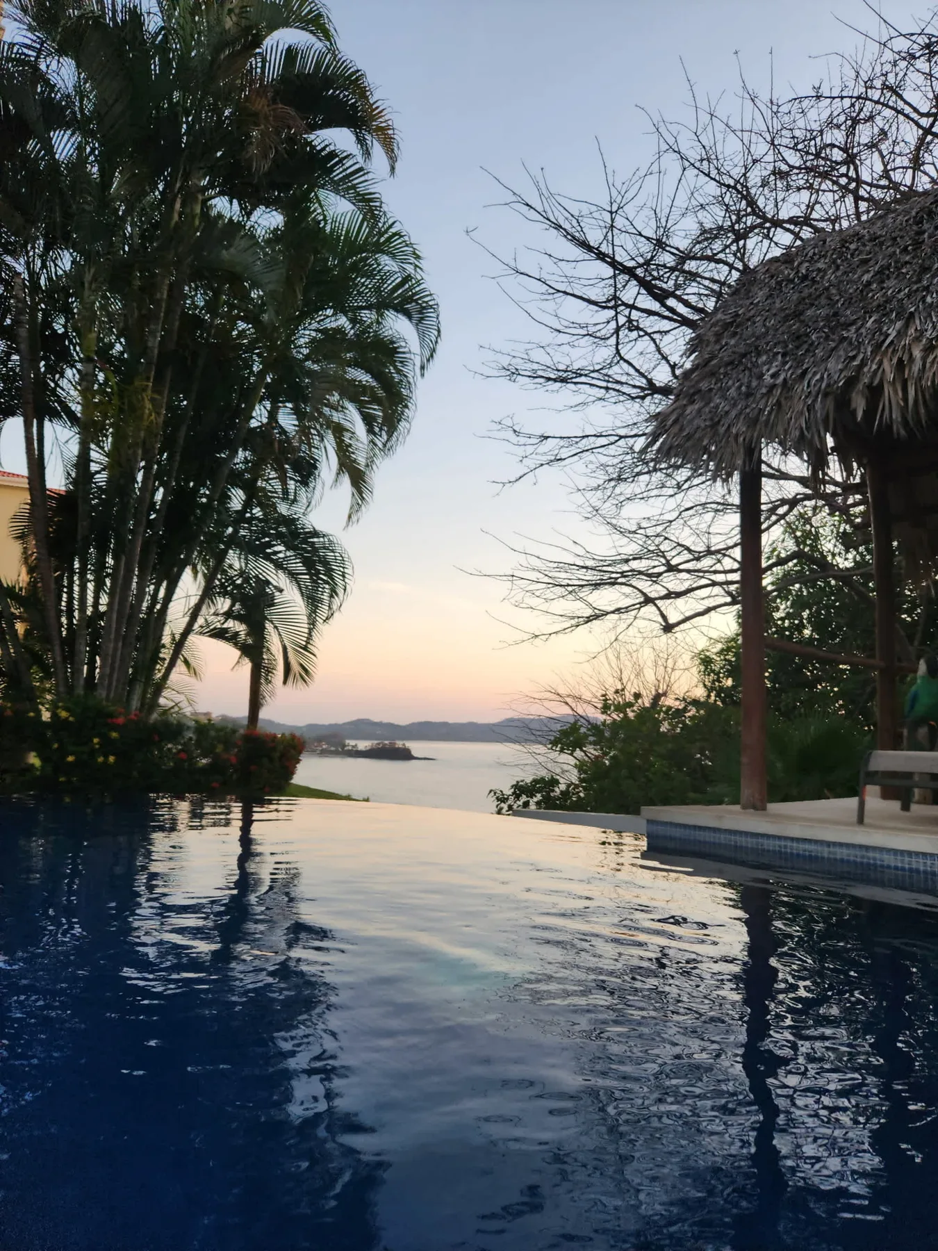 Shared amenity: An outdoor pool overlooks the water beside palm trees and a thatched shelter.