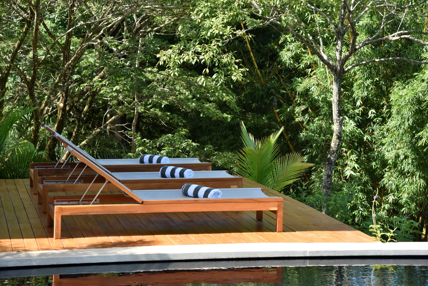 Villa Paloma, Santa Teresa