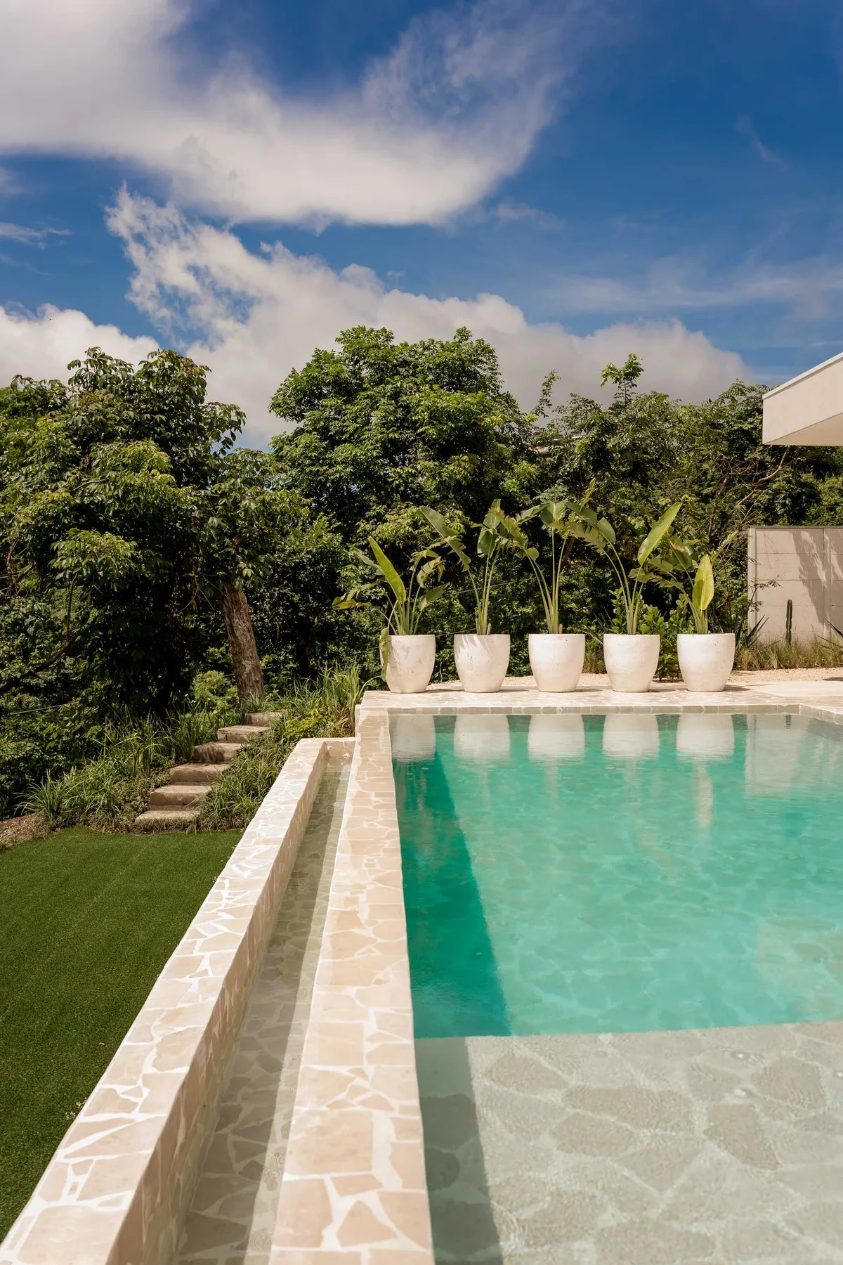 An outdoor swimming pool beside green lawn, tropical plants, and trees.