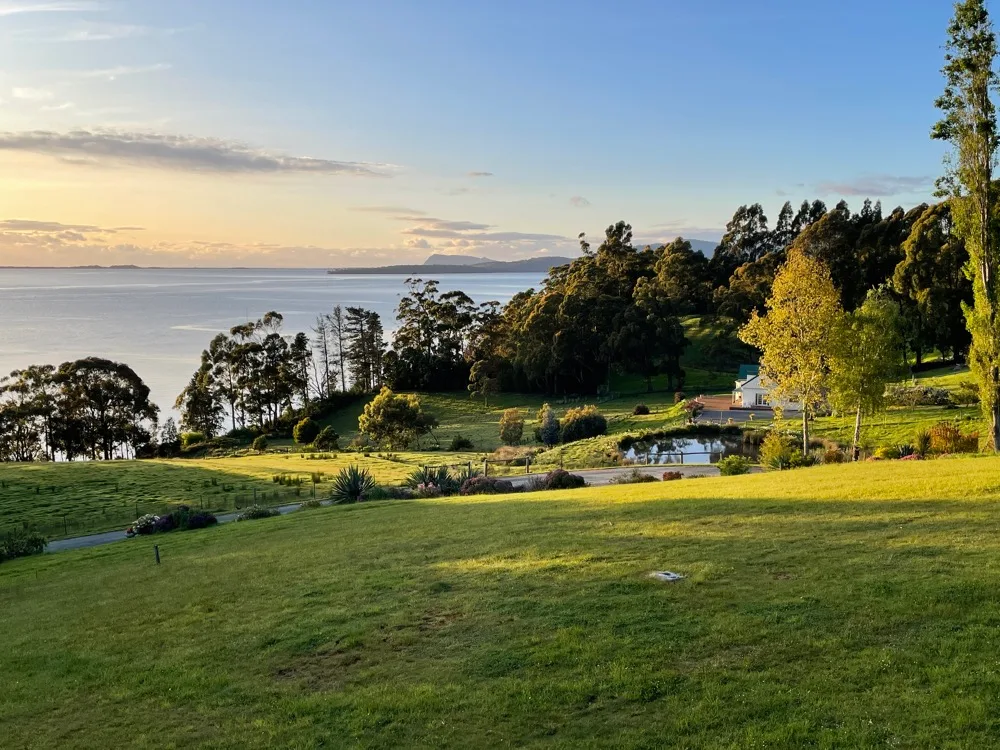 A grassy hillside overlooks a broad body of water and a tree-lined shore.