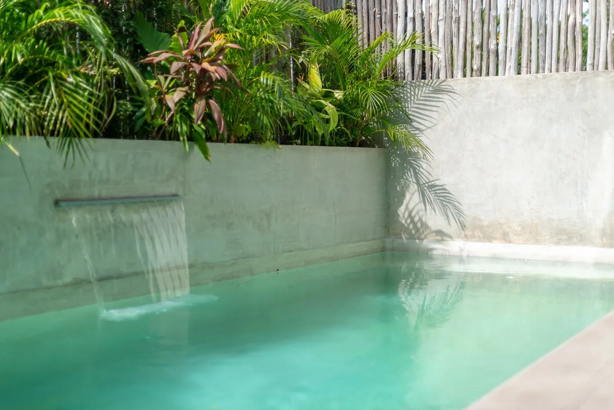 Una pequeña piscina al aire libre está junto a una pared clara y plantas tropicales.