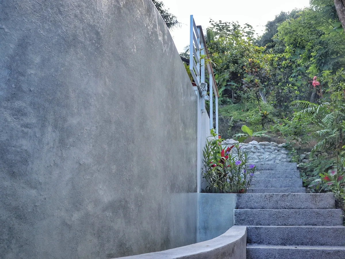 Escalones de piedra al aire libre junto a un muro de concreto y plantas verdes.