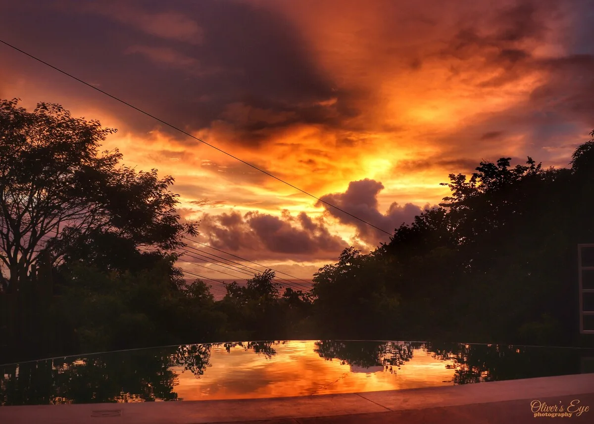 Un cielo de atardecer intenso se refleja en una piscina rodeada de árboles en silueta.