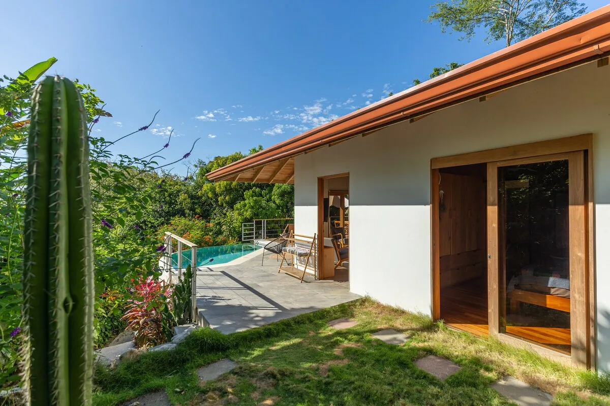 Un patio soleado junto a un edificio blanco da a una pequeña piscina y vegetación.