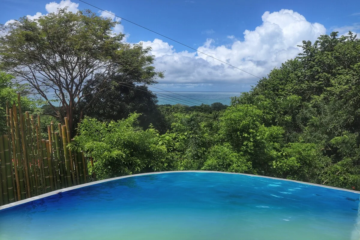 Una piscina al aire libre mira hacia la vegetación frondosa y el océano bajo un cielo azul.