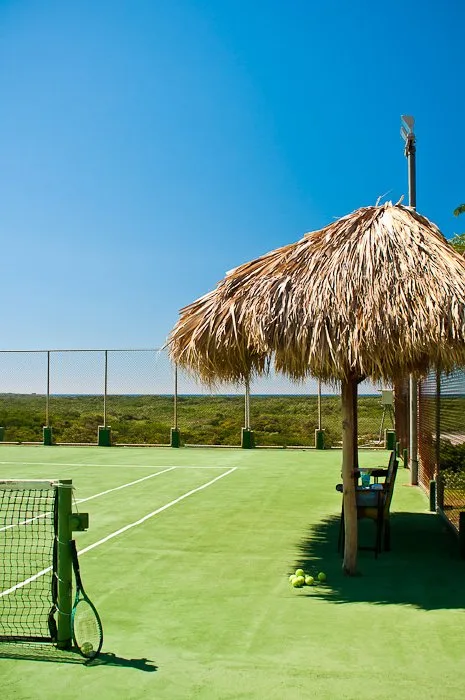TA-09 — Tamarindo Private Rental Estate