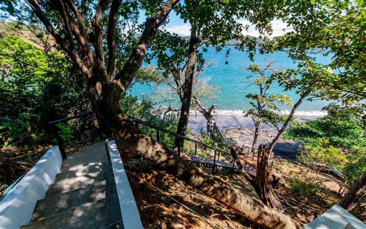 A shaded outdoor stairway descends through trees toward a blue shoreline.