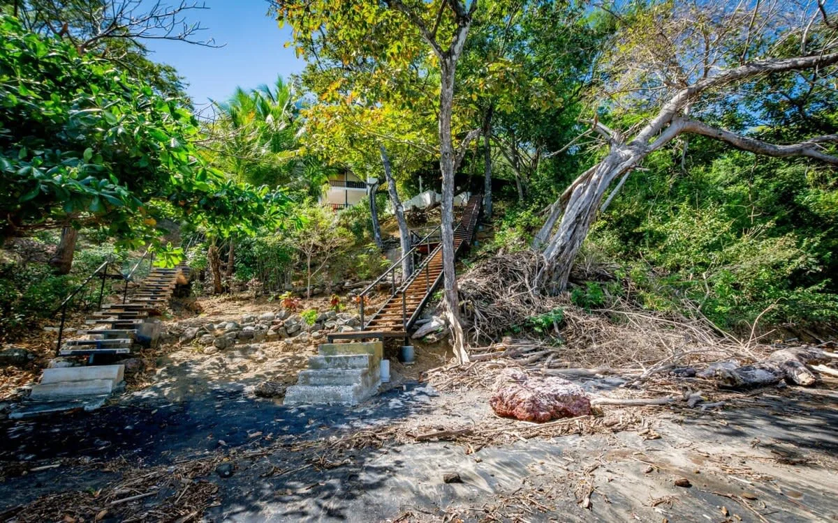 A wooded outdoor area with stone steps and a small stream.