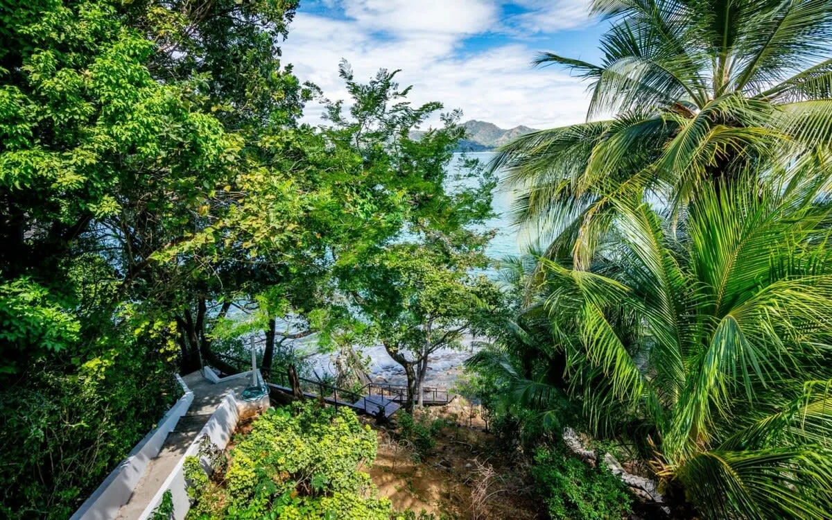 A tropical garden with palm trees overlooks the water.