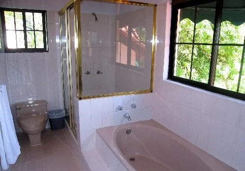 A tiled bathroom with a bathtub, shower, toilet, and windows.