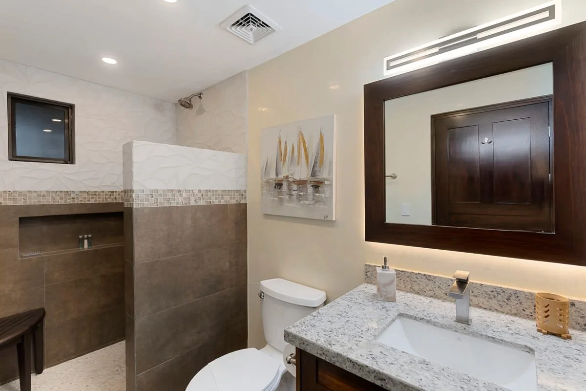 A modern bathroom with a wide vanity, mirror, and walk-in shower.