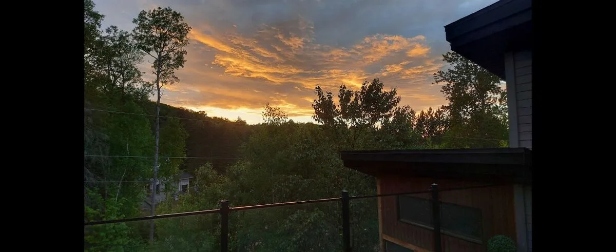 Un paisaje boscoso al atardecer se ve desde junto a un edificio.