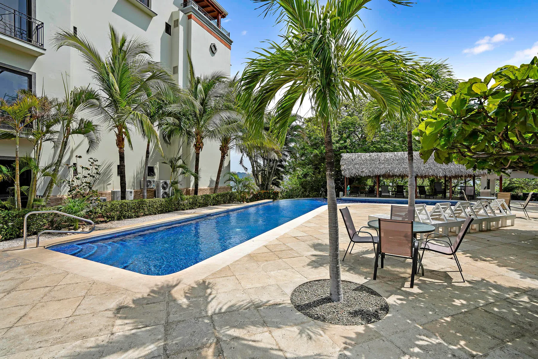 Shared amenity: A swimming pool and patio seating are surrounded by palm trees.