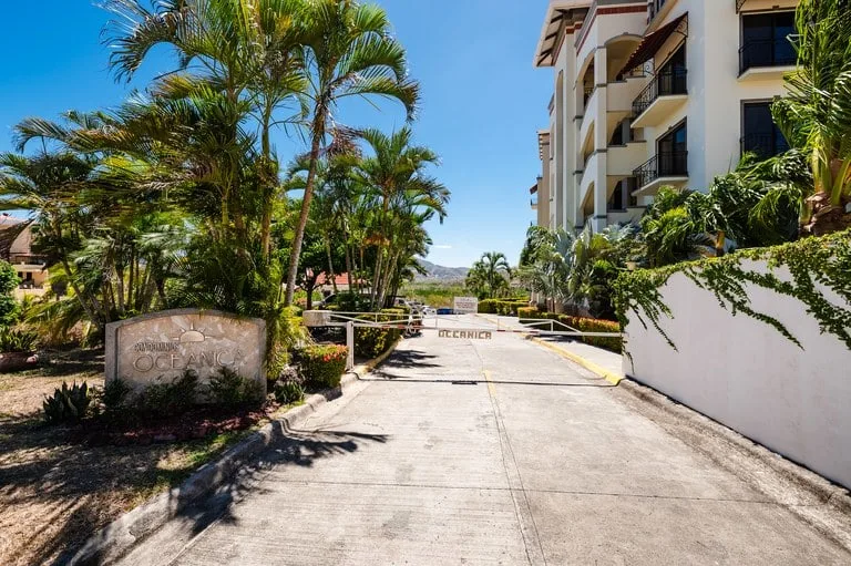 Shared amenity: A paved entrance driveway passes between palm trees and an apartment building.