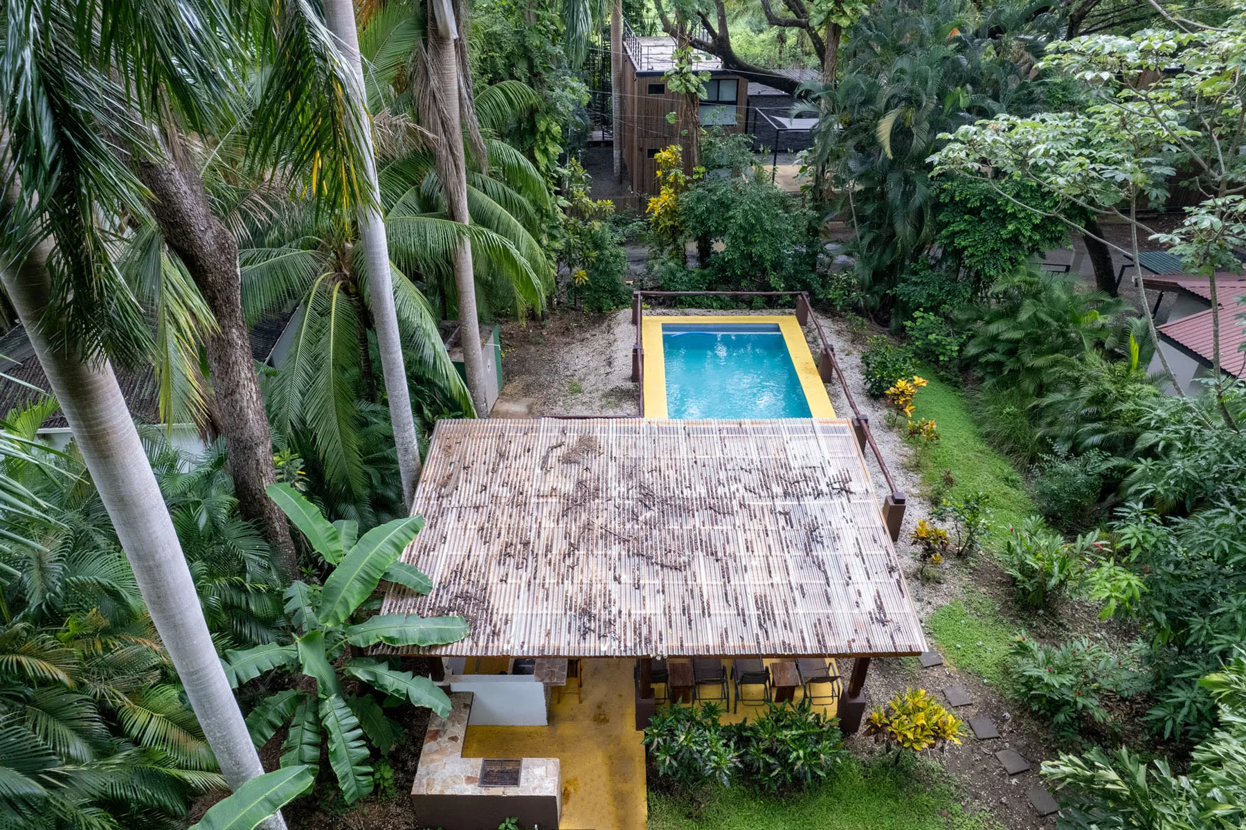 Shared amenity: A tropical garden surrounds a swimming pool and a covered seating area.