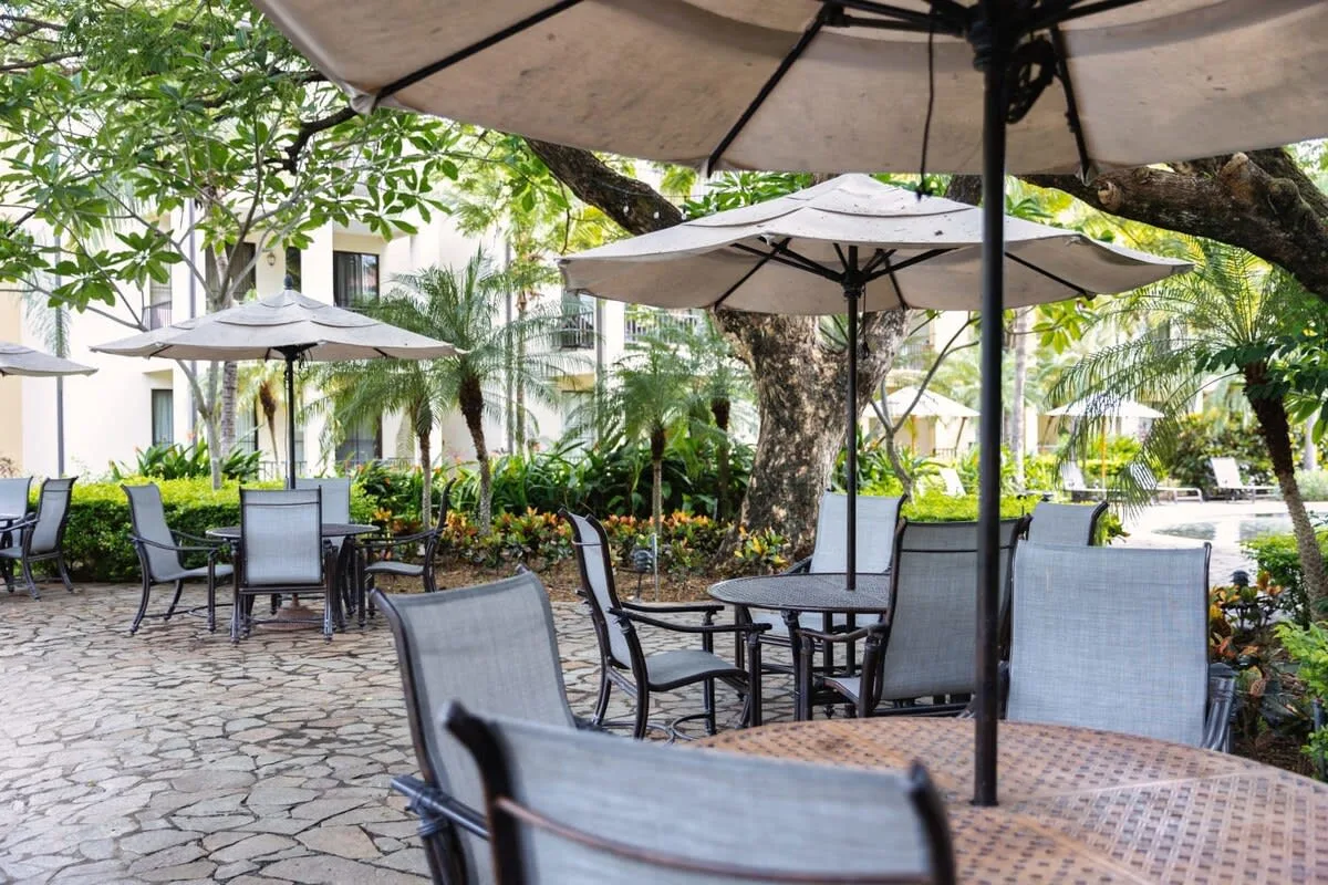 Zona común: Asientos en un patio al aire libre bajo sombrillas, rodeados de árboles y vegetación.