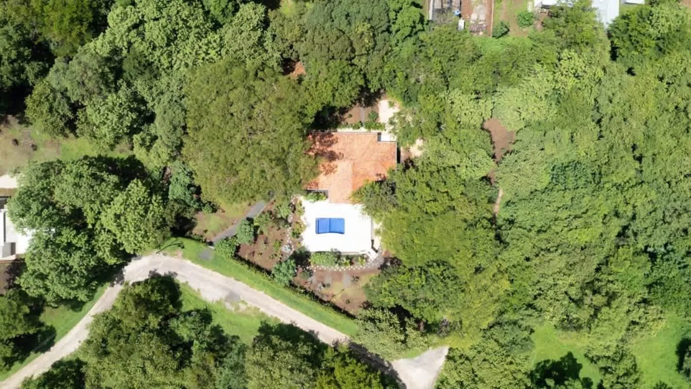 An aerial view of a tree-filled property with a paved driveway and a small building.