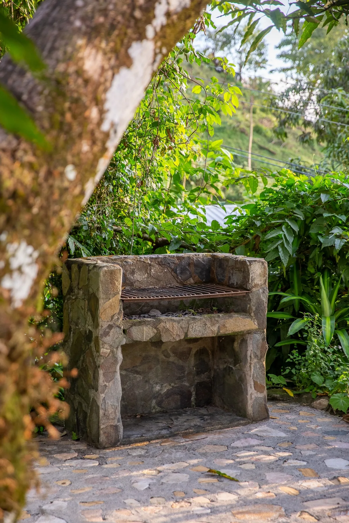 Una barbacoa de piedra está en un patio pavimentado rodeado de vegetación.
