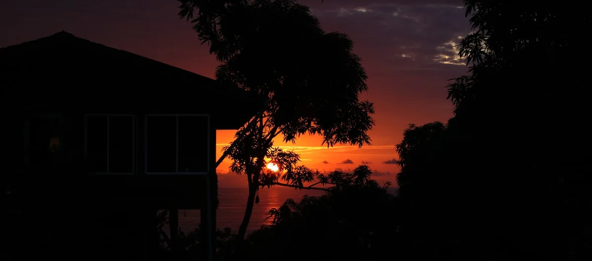 El atardecer brilla detrás de árboles en silueta junto a un edificio oscuro.