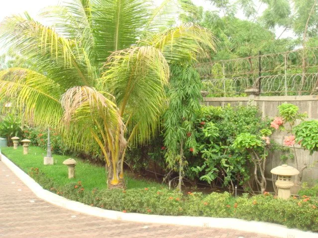 PL-01 — Beachfront Villa with Private Pool