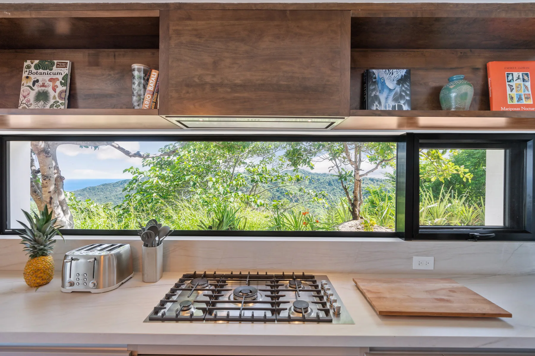 A kitchen counter with a gas cooktop and wide windows overlooking greenery.