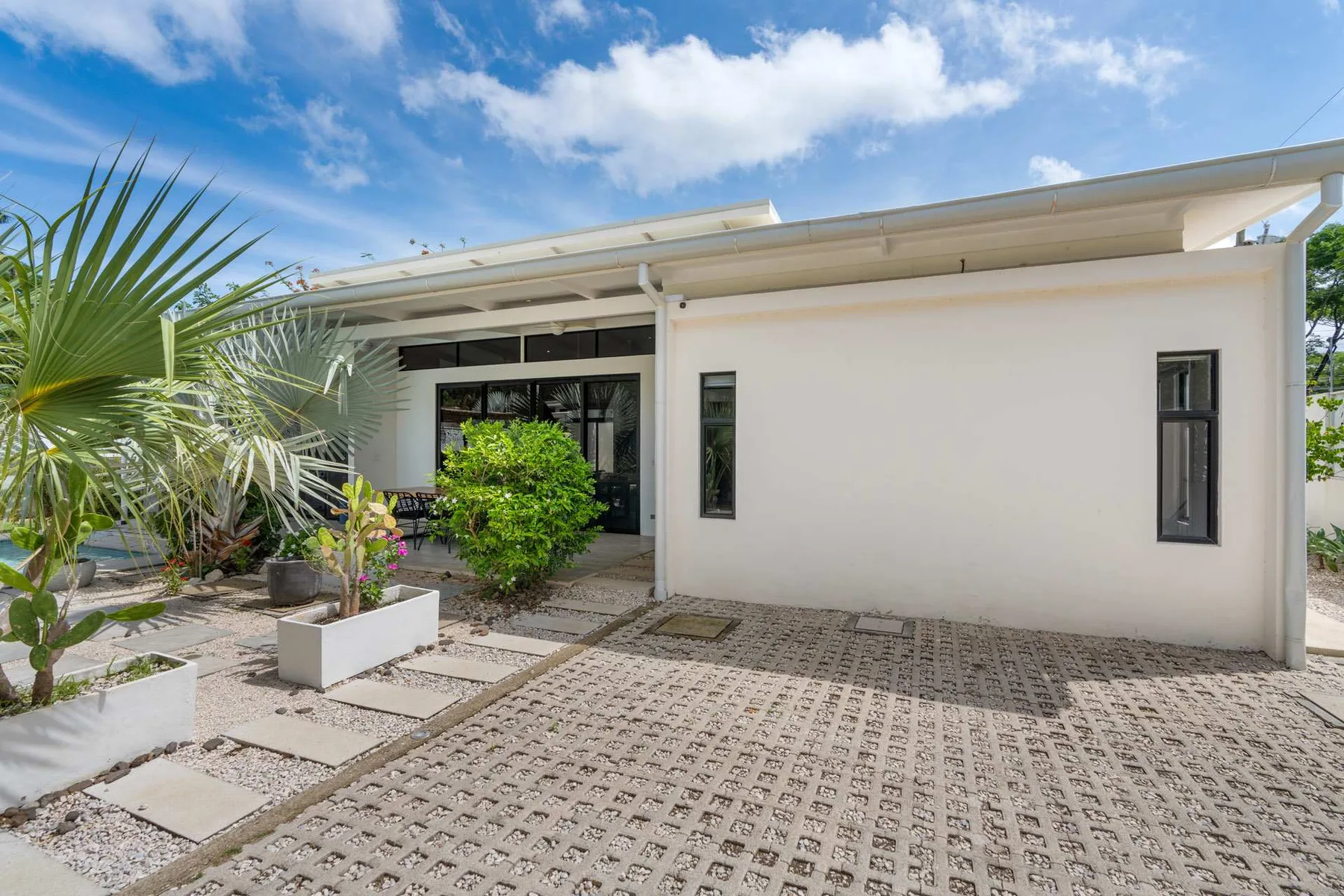 A modern white building with a paved courtyard and leafy plants.