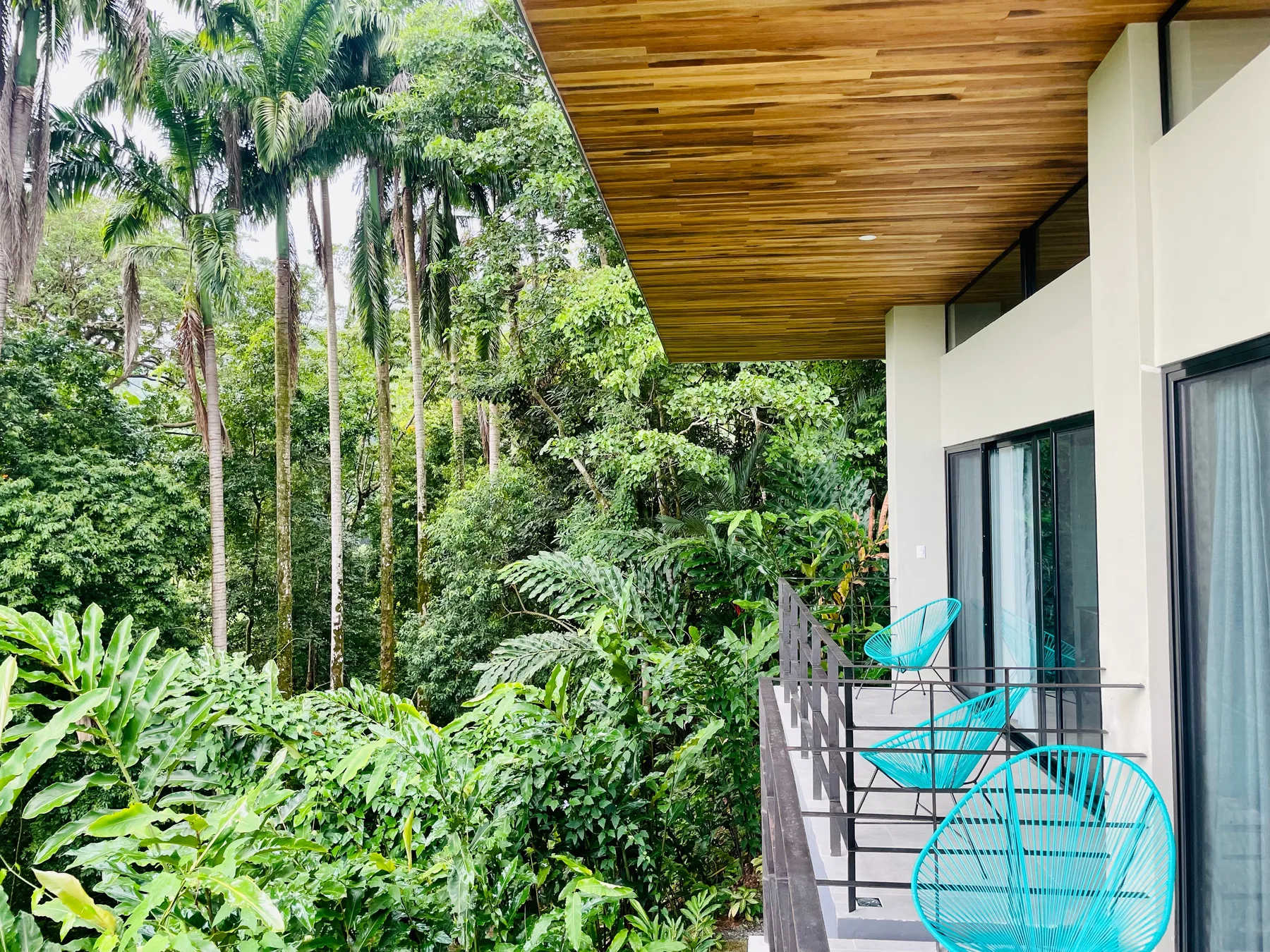 Casa de Palmas