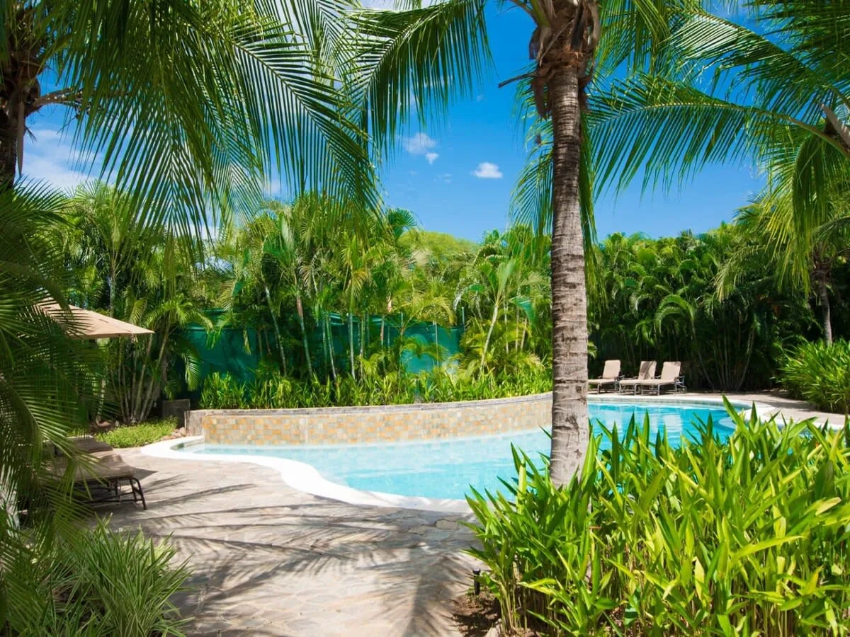 Zona común: Una piscina al aire libre rodeada de palmeras y vegetación tropical.