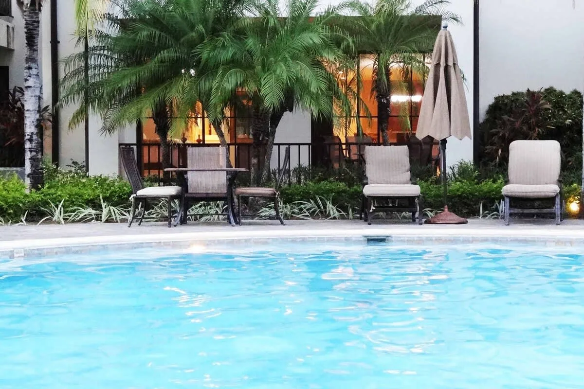 Zona común: Una piscina rodeada de asientos reclinables y palmeras.
