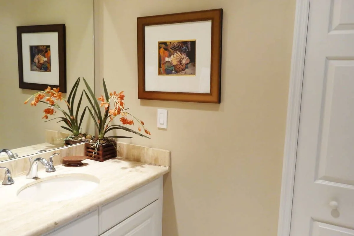 Un lavabo de baño con una pila, cuadros enmarcados y una planta con flores.