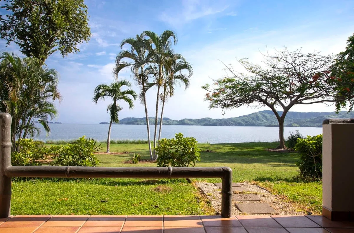 A waterfront garden with palm trees, a grassy lawn, and distant hills across the water.