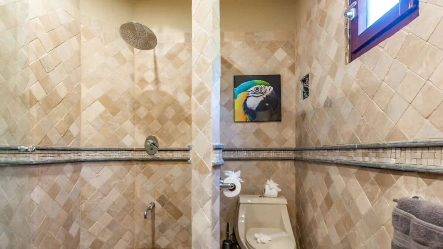 A tiled bathroom with a toilet and shower.
