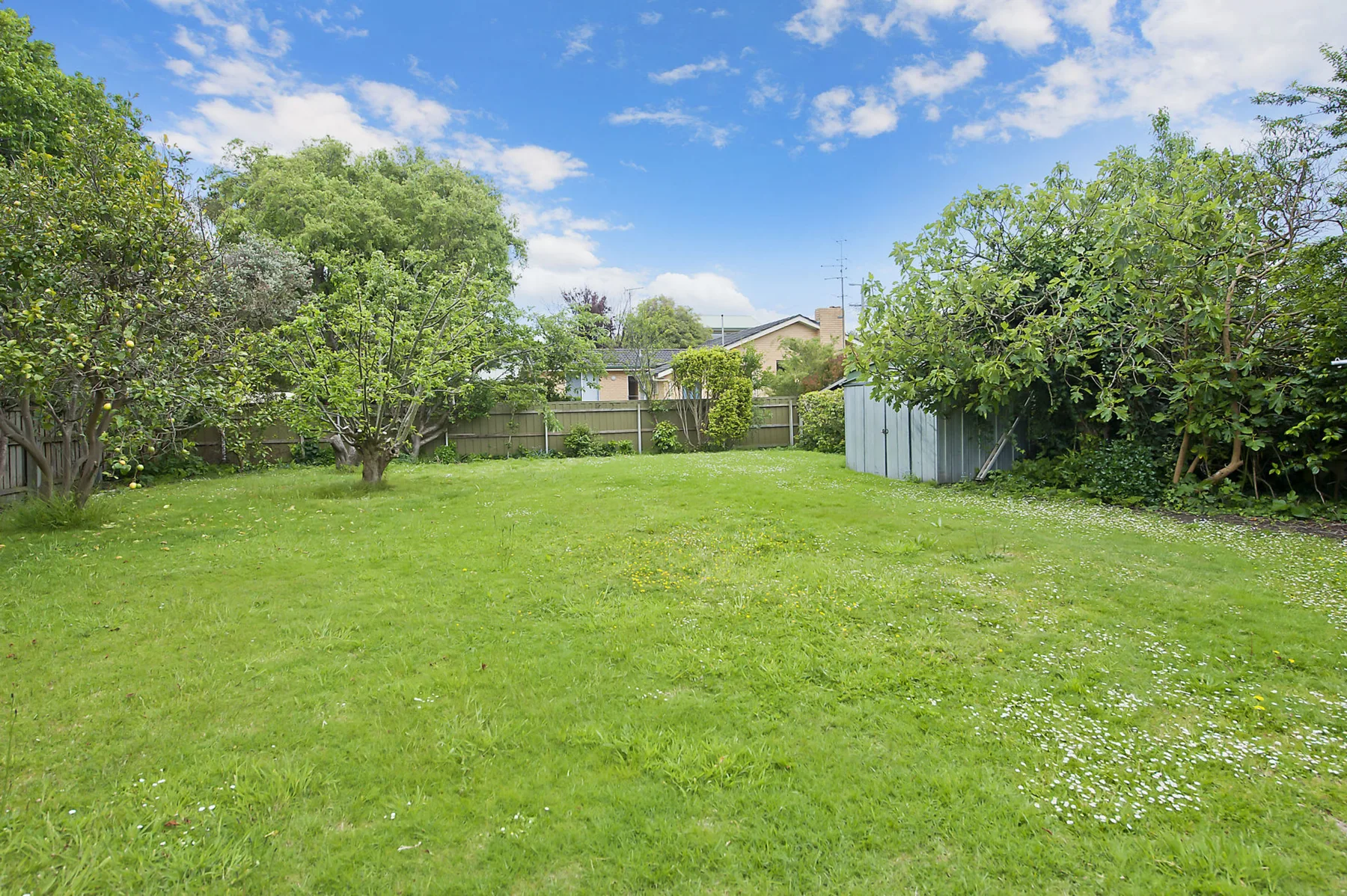Un patio trasero con césped, árboles y un pequeño cobertizo junto a la cerca.