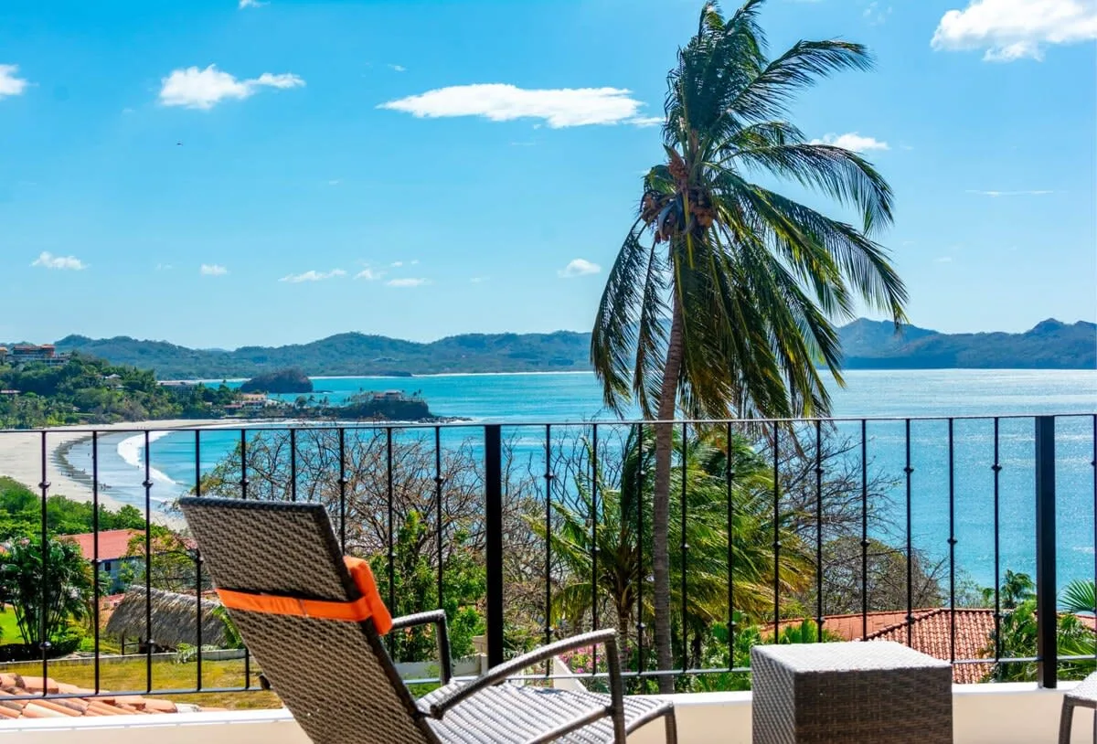 A balcony seating area overlooks the blue water, with a palm tree nearby.