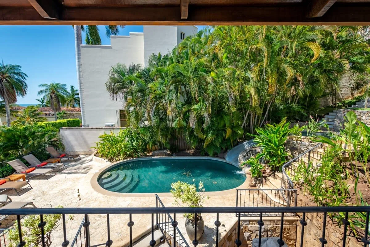 A small outdoor pool sits among tropical plants beside a paved patio.