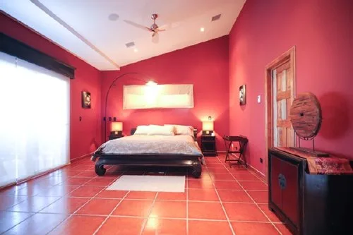 FL-05 — Playa Flamingo Luxury Villa And Pet Friendly
