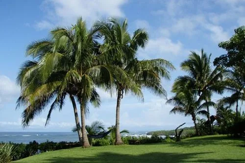TA-01 — Playa Junquillal Beachfront Villa