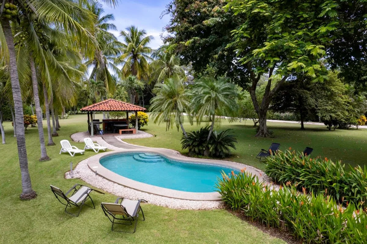 Una piscina exterior curva está rodeada de palmeras, vegetación y asientos de descanso.