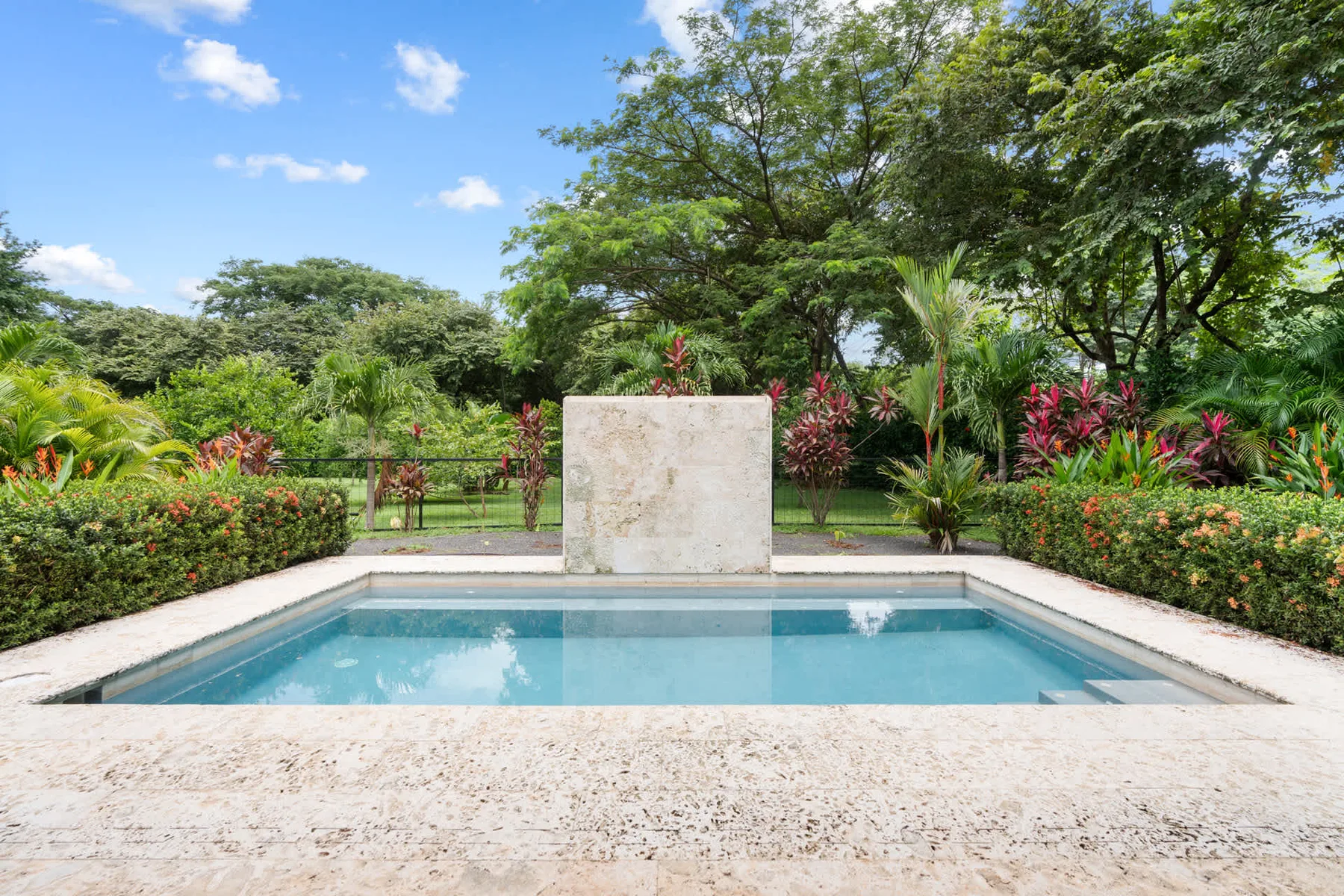 Una pequeña piscina al aire libre está rodeada de plantas tropicales y árboles.
