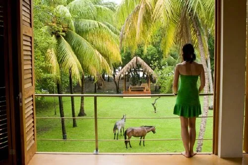NI-06 — Mal Pais Beach Front Rental