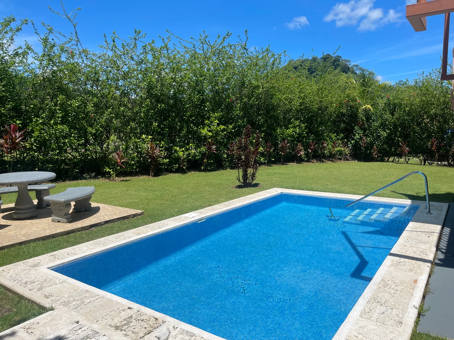 An outdoor swimming pool sits beside a lawn and leafy garden.