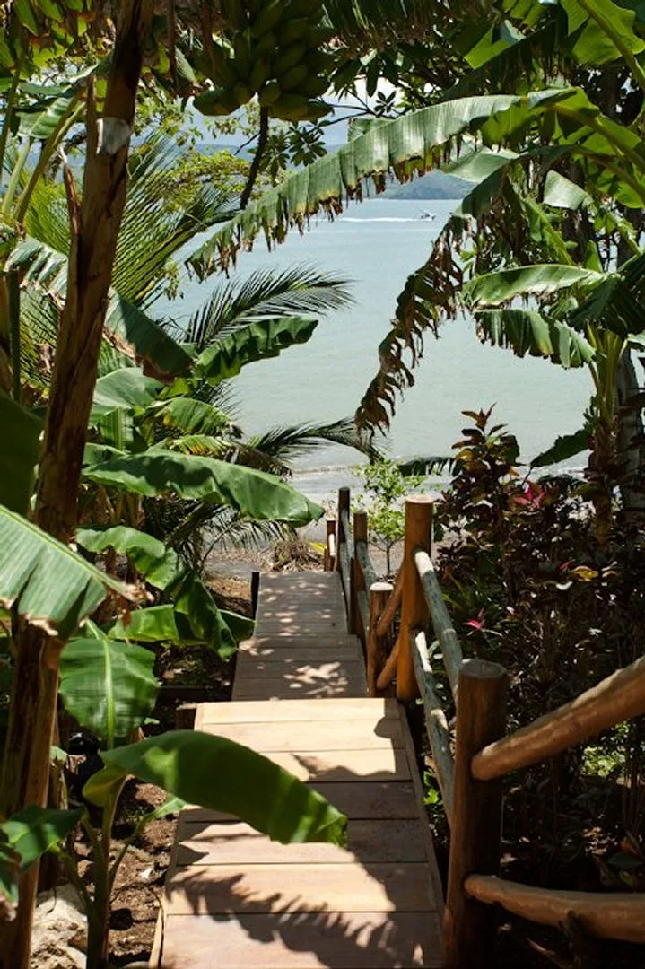 A wooden walkway descends through tropical foliage toward the water.