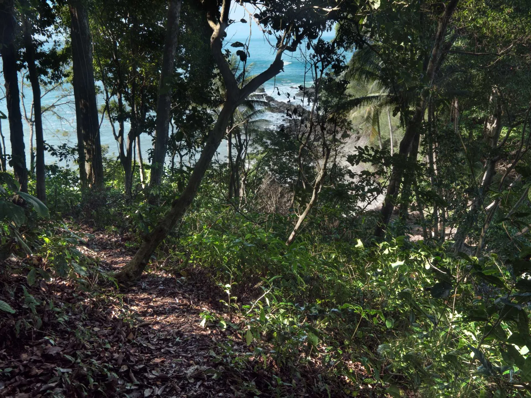 DO-01 — Oceanfront Villa in Dominical