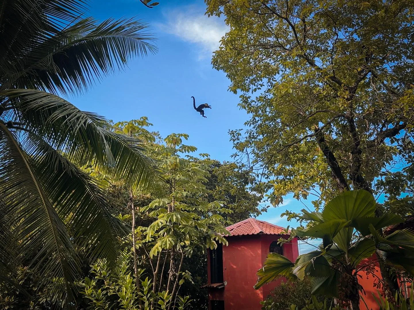 DO-01 — Oceanfront Villa in Dominical