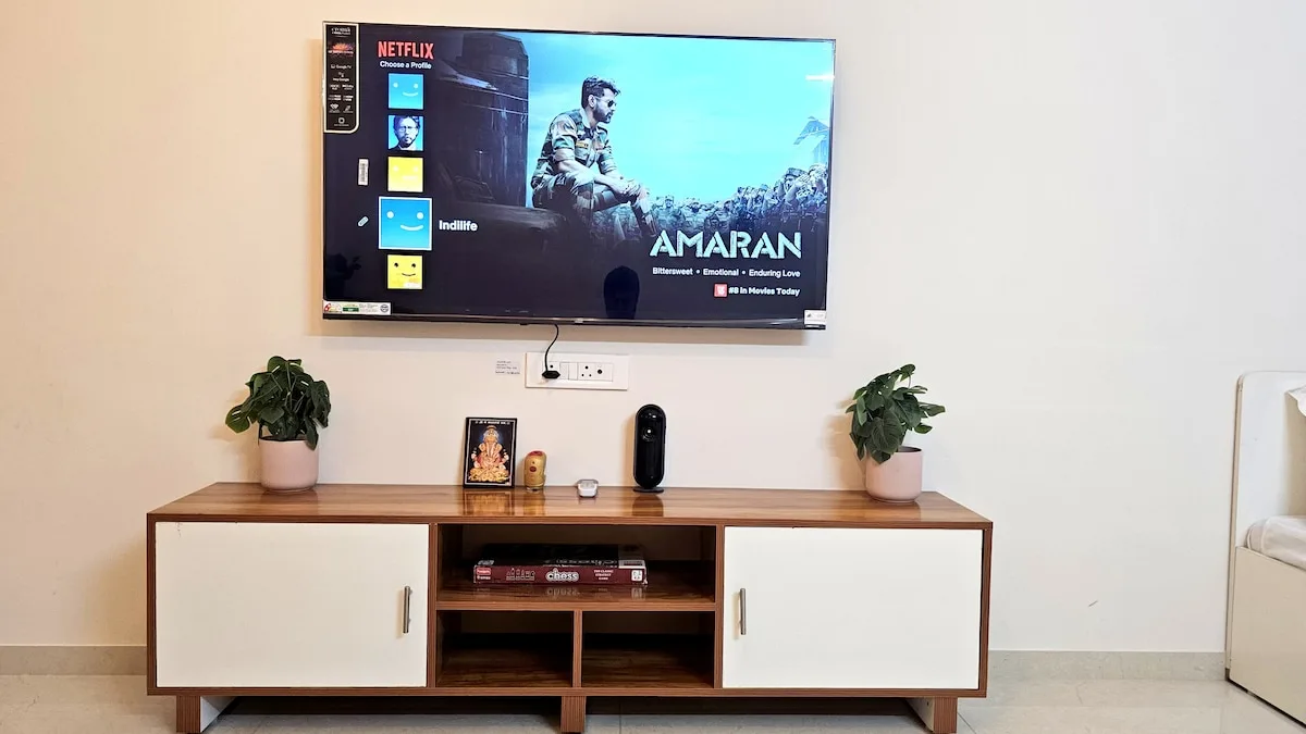Un televisor está sobre un mueble de madera, con plantas a ambos lados.