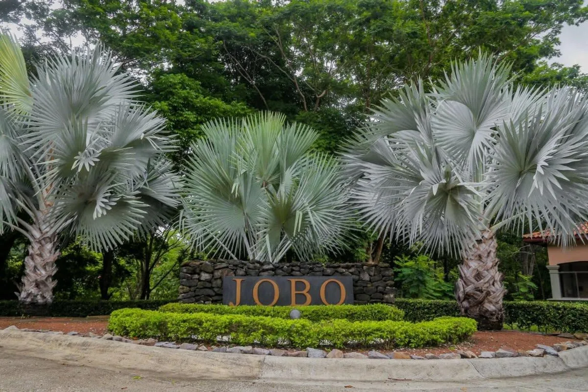 Shared amenity: A landscaped entrance sign reading JOBO stands among palm trees and greenery.