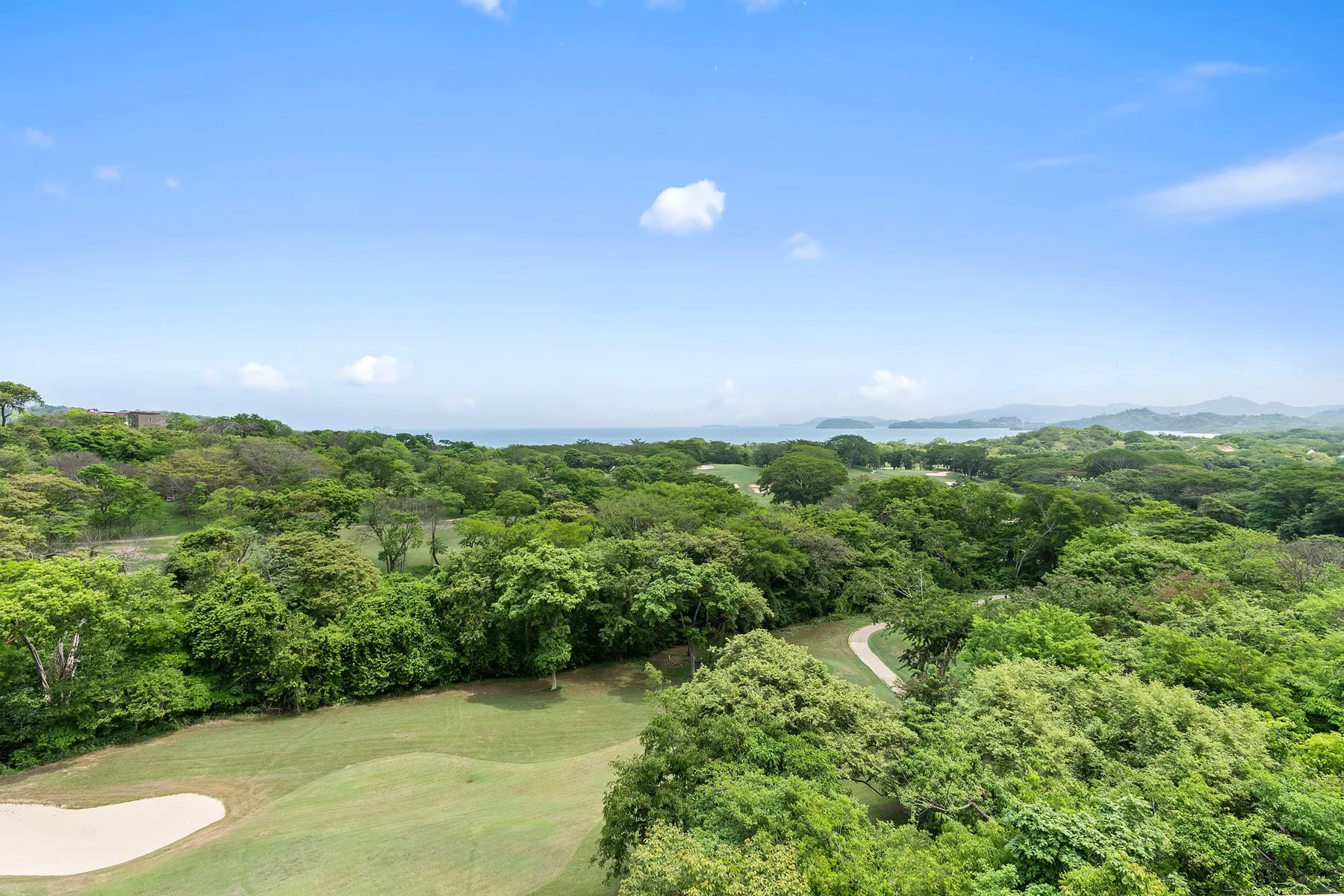 A green landscape with dense trees and a winding path beneath a blue sky.