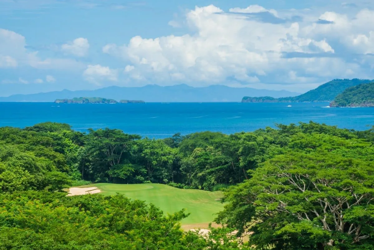 A green forest canopy overlooks a bright blue bay and distant islands.